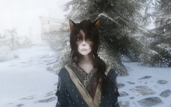 上古卷轴5猫人种族mod