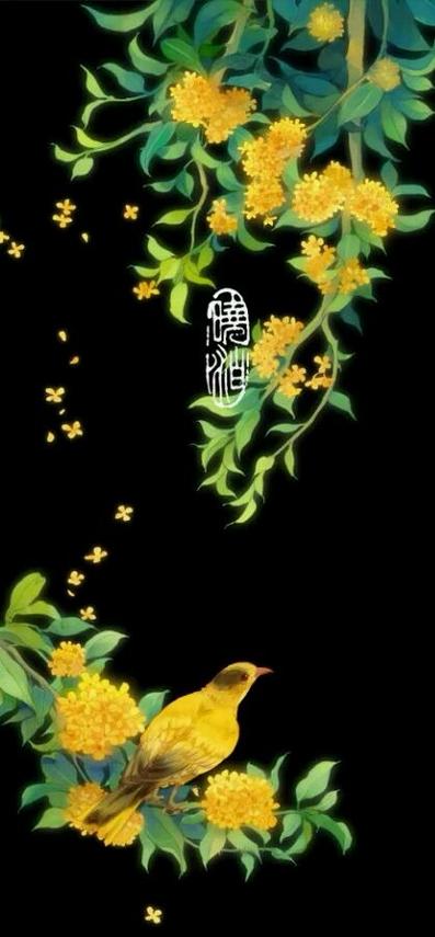 怀愫全部小说作品