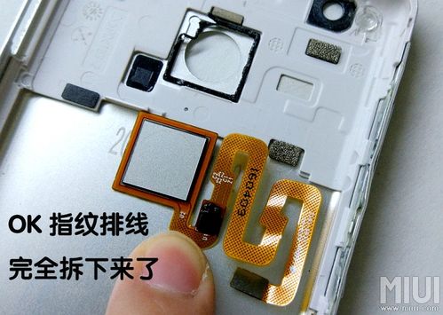指纹排线断了能修吗游戏截图