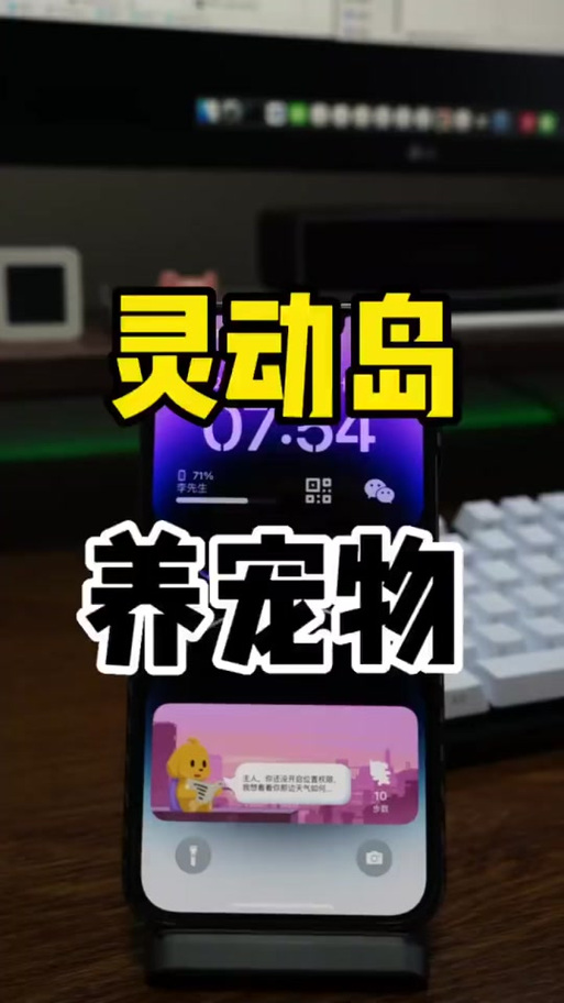 超全灵动岛指南宠物篇攻略视频