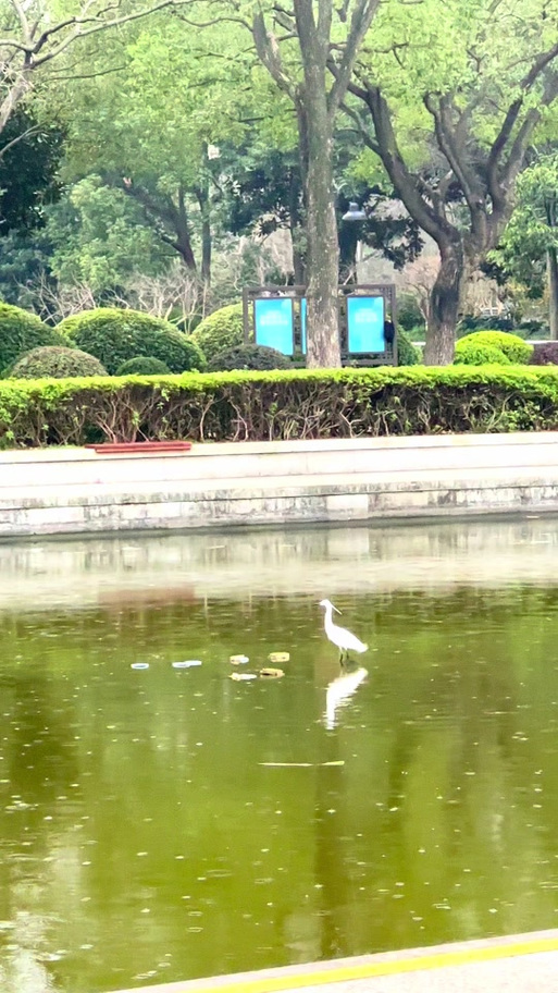 如何关闭相机延时摄影缩略图