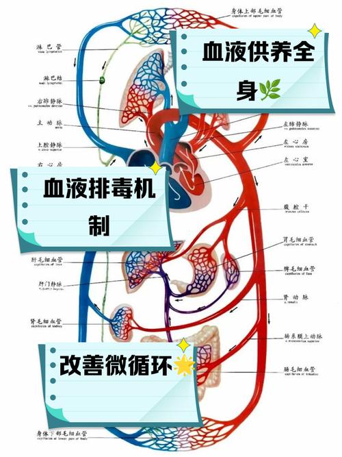 增加血量上限的方法