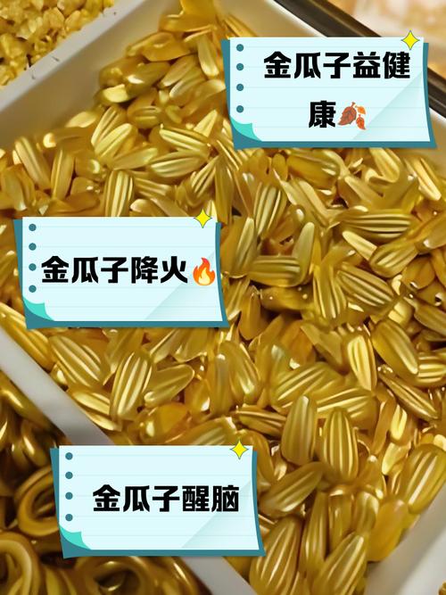 b站送的金瓜子为什么没有