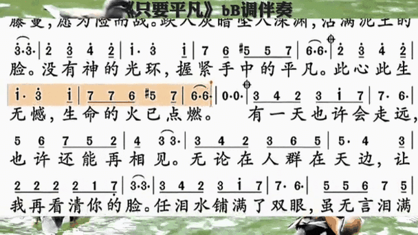 音乐伴奏曲库图标