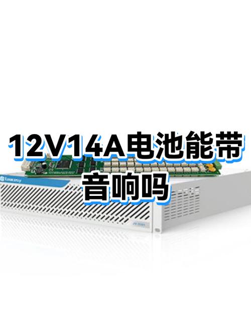 带电池的音响可以直接插电源使用吗