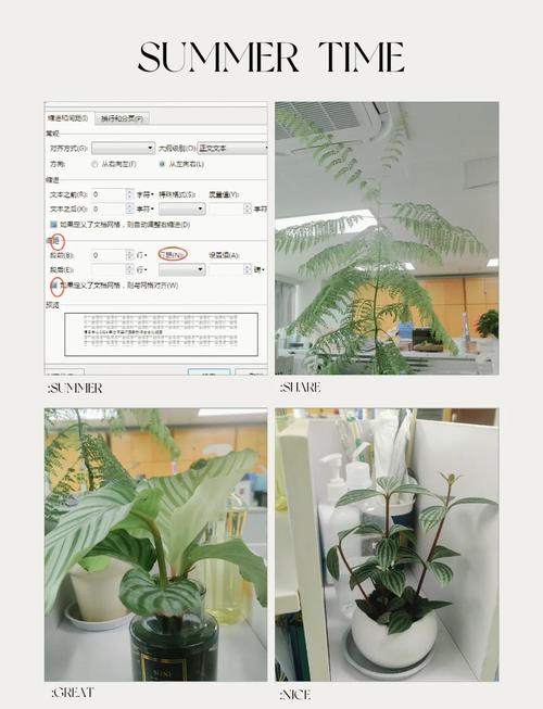 行距怎么调
