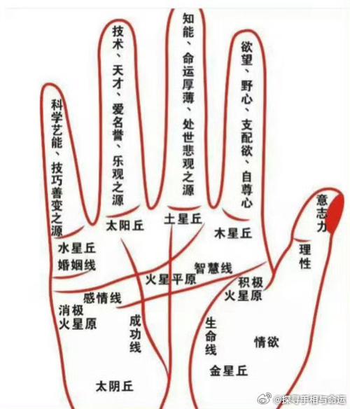 怎么看手相有几段婚姻