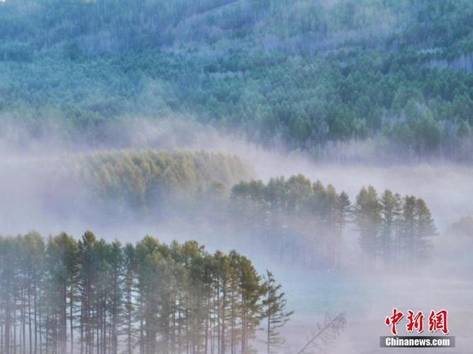 超自然全图除雾(免费)