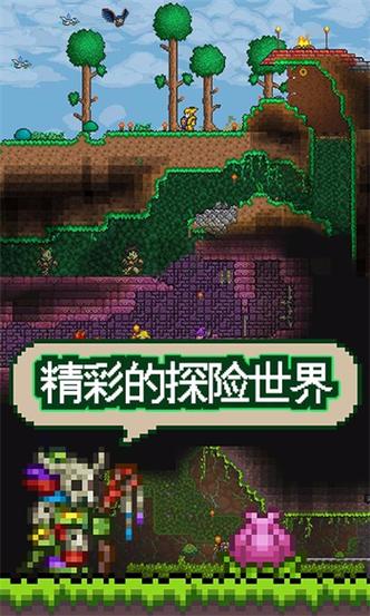 泰拉瑞亚pc联机平台缩略图
