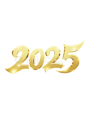 2025竖着写一行写一个数字怎么写