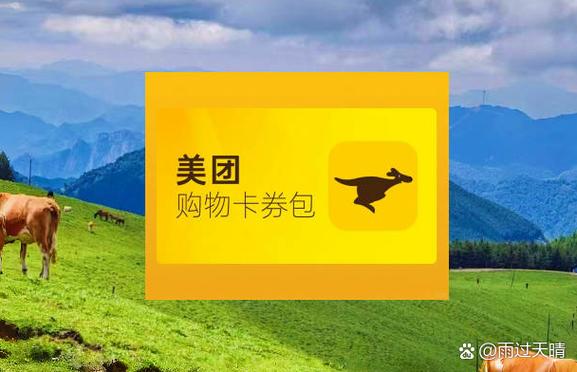 美团卡密如何使用