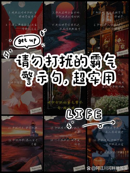 女生说请勿打扰是什么意思