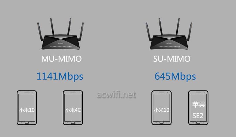 mimo2