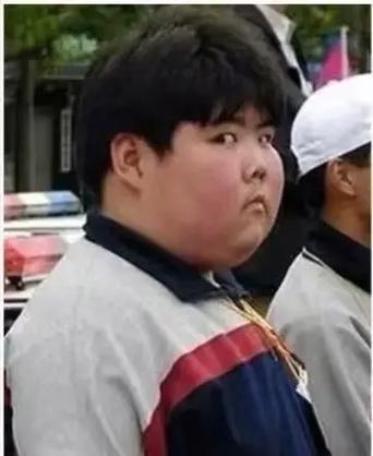 小胖表情