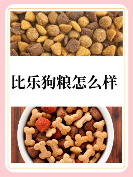 比乐和畅享哪个狗粮好