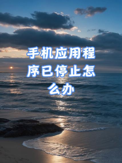 手机所有软件都没有了怎么办