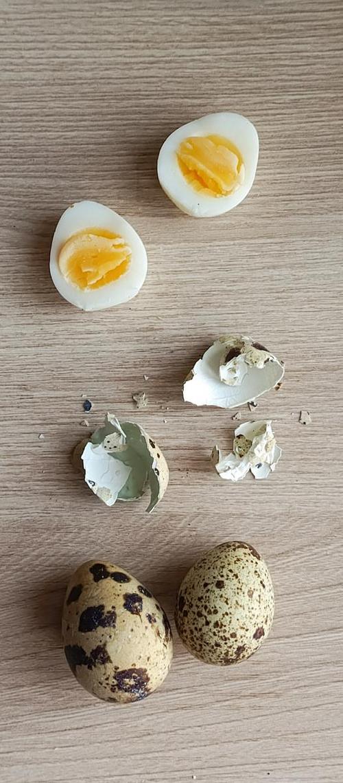 吃鸡蛋好还是鹌鹑蛋好