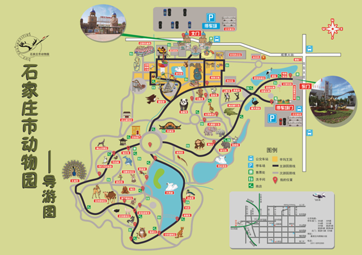石家庄市旧动物园地址
