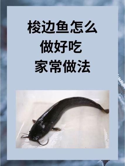 梭边鱼的做法大全家常