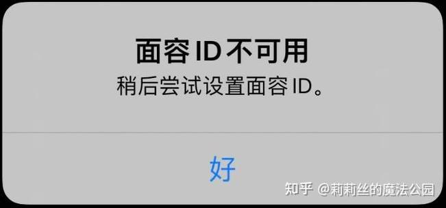苹果换屏后面容id不能用