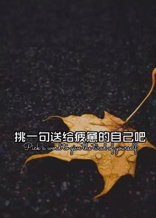抖音伤感文案