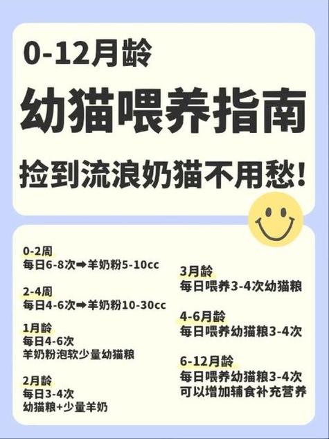 一个月小猫可以喝水吗