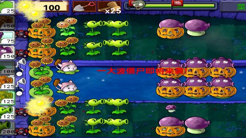 植物大战僵尸生存迷雾困难怎么过