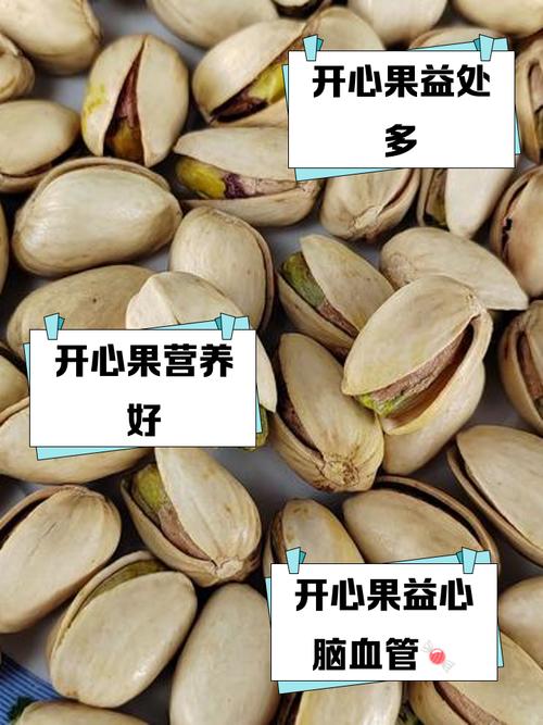 带皮开心果100克热量