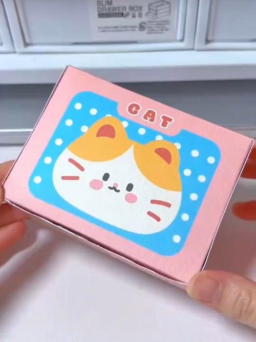 网上很火的自制小猫
