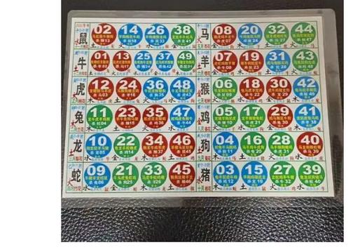 2022生肖表图片