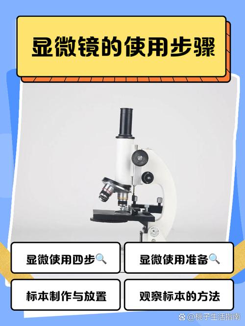 promax放大镜怎么用
