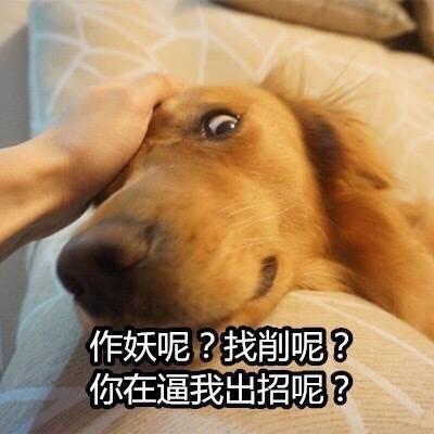 作精表情包