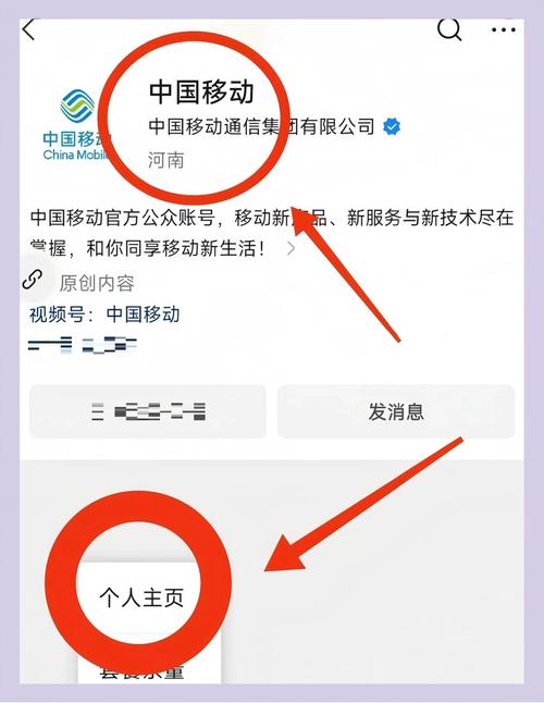 中国移动虚拟小号