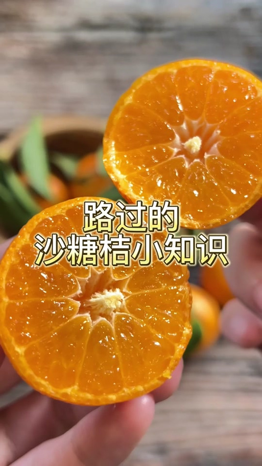 沙糖桔的梗什么意思