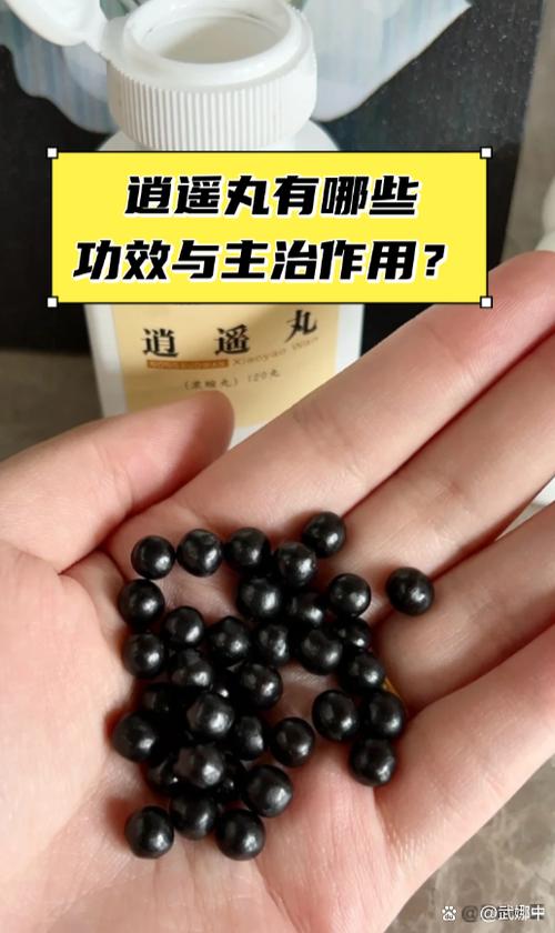 逍遥丸是啥