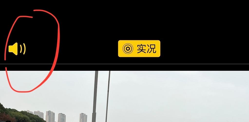 实况照片没声音的解决方法