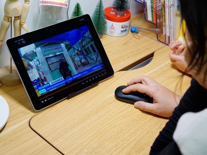 ipad 向日葵图标