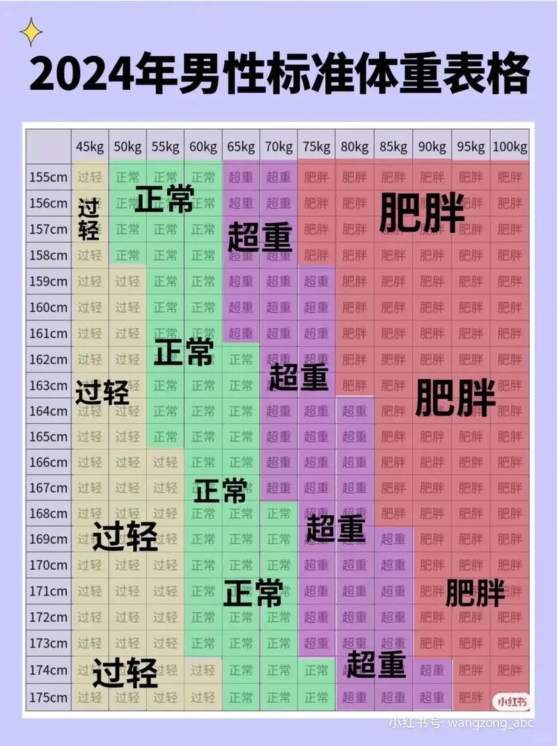 免费身高体重计算器