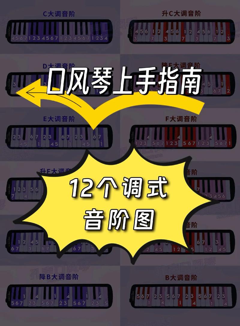 口风琴学徒教程
