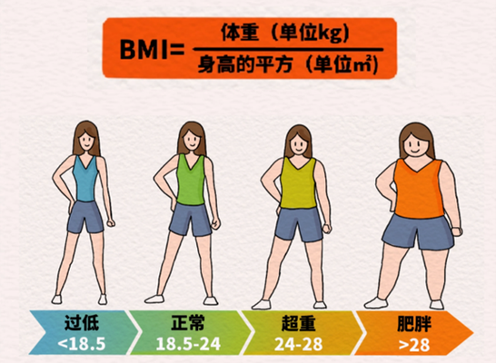 女性最好看BMI24.5漫画