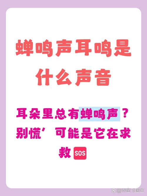 苹果14手机上面的小孔发出滋滋的声音