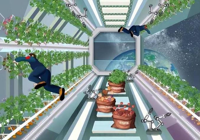 太空农场