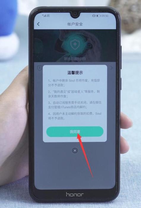 soul如何强制注销