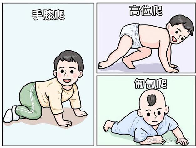 爬行姿势的6种类型