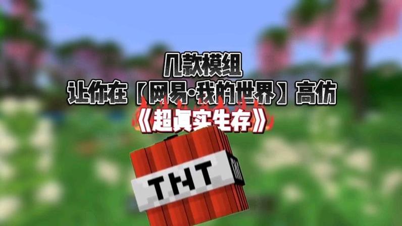 我的世界《超真实生存》下载