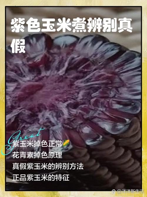 网上买的爆裂玉米是真的吗