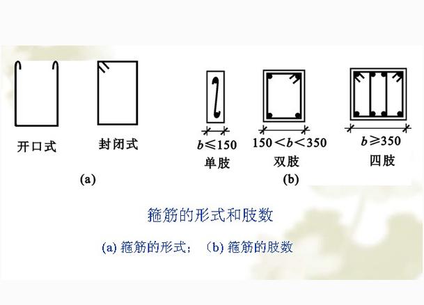 双肢箍是什么意思