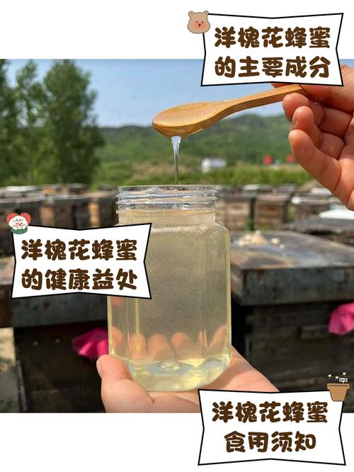 养蜂农洋槐蜂蜜是真的吗