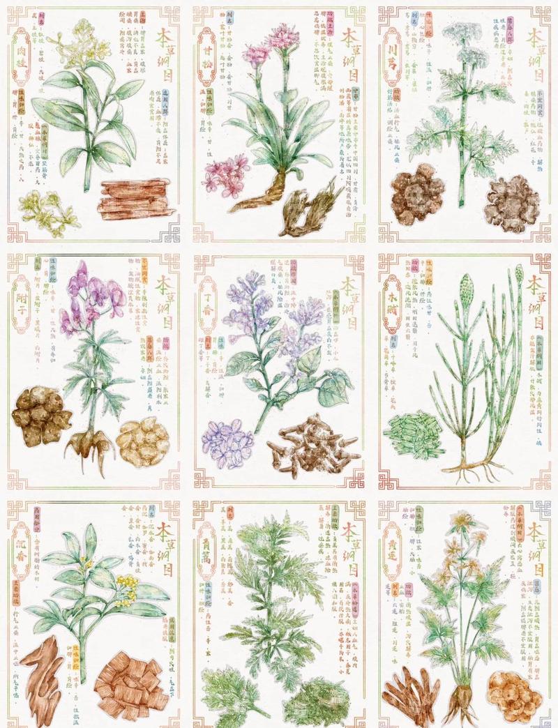 高级草药学多少点能学