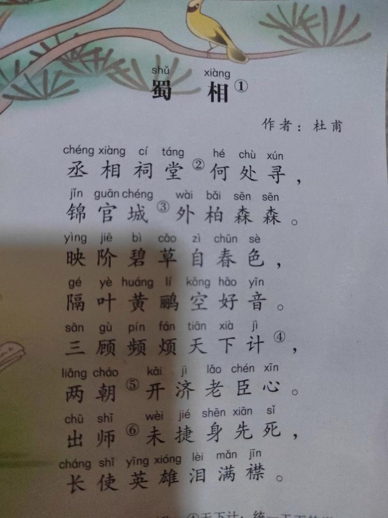 绕指柔小说游西